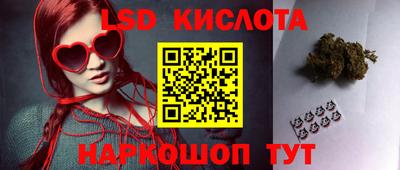 молекула духа Донецк
