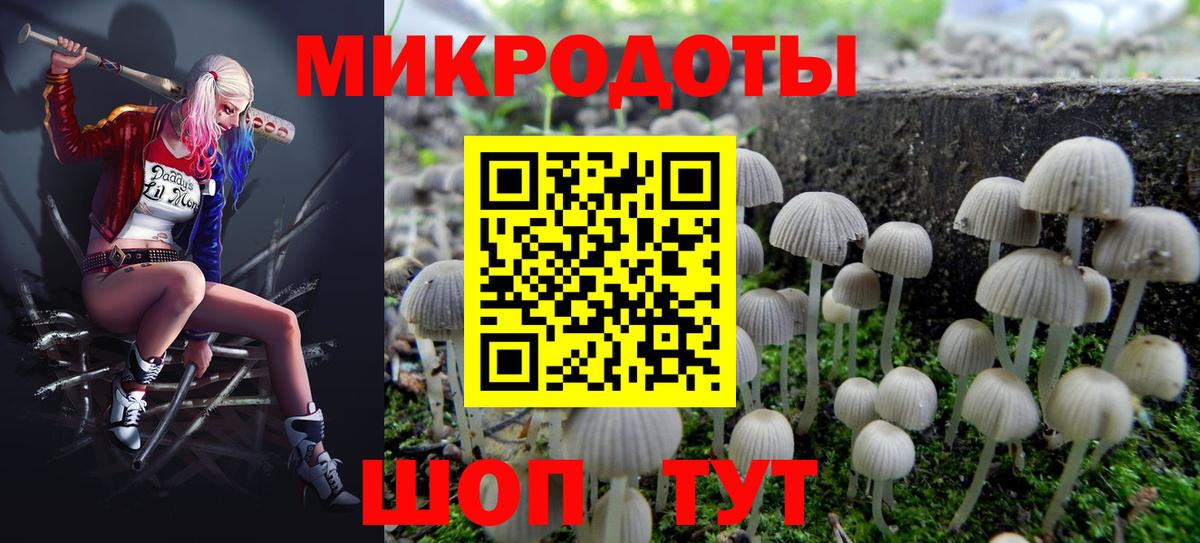 Гай  купить закладку  Вход с VPN  Псилоцибиновые грибы Cubensis 