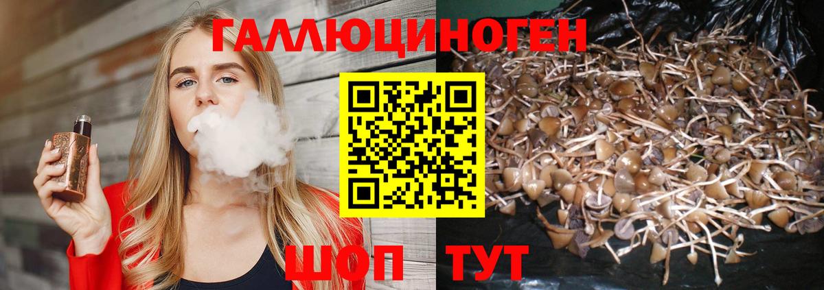 Галлюциногенные грибы GOLDEN TEACHER Гай